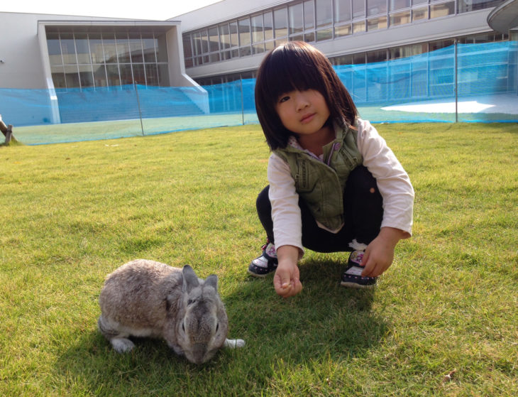 キノイエの小さなモデル