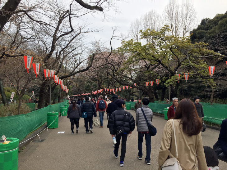 上野恩賜公園｜上越市・妙高市・糸魚川市の工務店｜注文住宅｜木の家づくりハウスメーカー｜キノイエ｜