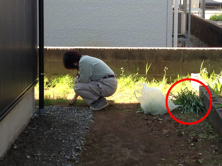 ｜西本町の家｜上越・糸魚川・妙高の工務店｜新築・リフォーム｜自然素材の注文住宅｜キノイエ｜カネタ建設｜