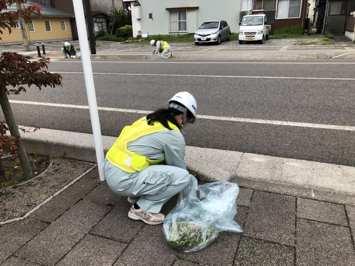 ｜上越・糸魚川・妙高の工務店｜新築・リフォーム｜自然素材の注文住宅｜キノイエ｜カネタ建設｜