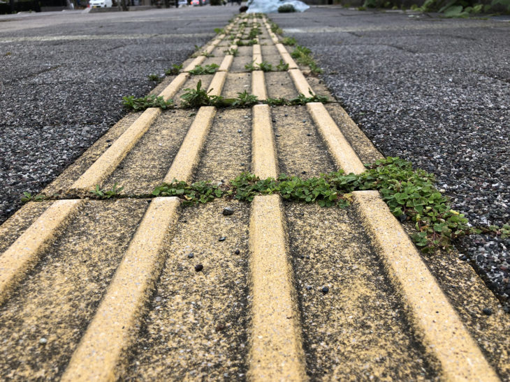 ｜上越・糸魚川・妙高の工務店｜新築・リフォーム｜自然素材の注文住宅｜キノイエ｜カネタ建設｜