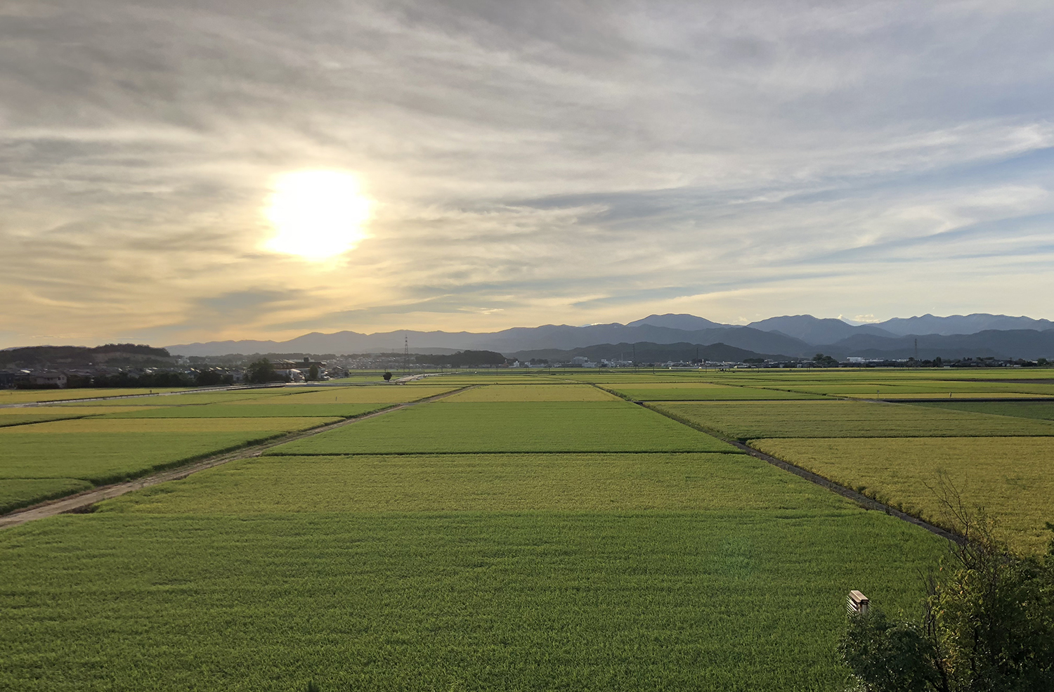 田園風景という資産価値 – kinoieブログ