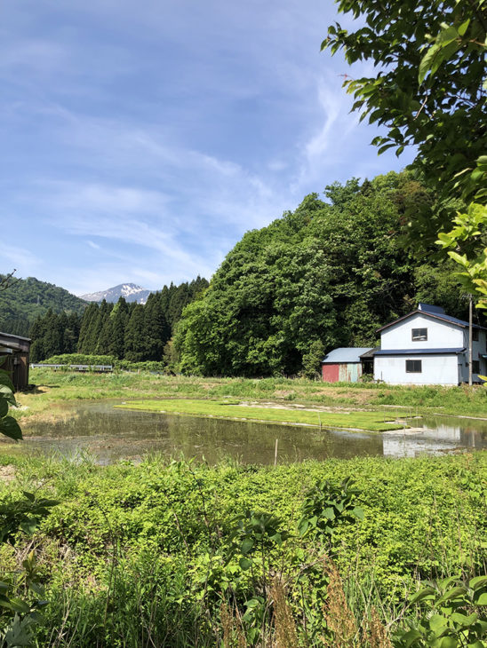 平屋｜里山｜原風景｜上越・糸魚川・妙高の家づくり｜木の家をつくる工務店｜新築・リフォーム｜自然素材の注文住宅｜キノイエ｜カネタ建設｜高気密高断熱｜パッシブデザイン｜