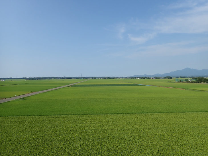 ｜本城の家｜頚城の家｜西本町の家Ⅱ｜米山を望む家｜上越・糸魚川・妙高の家づくり｜木の家をつくる工務店｜新築・リフォーム｜自然素材の注文住宅｜キノイエ｜カネタ建設｜高気密高断熱｜パッシブデザイン｜