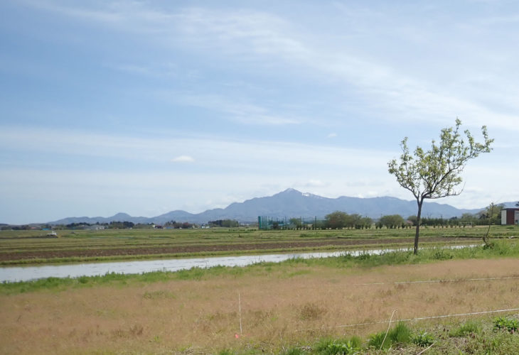 ｜高田の家｜頚城の家｜西本町の家Ⅱ｜米山を望む家｜上越・糸魚川・妙高の家づくり｜木の家をつくる工務店｜新築・リフォーム｜自然素材の注文住宅｜キノイエ｜カネタ建設｜高気密高断熱｜パッシブデザイン｜