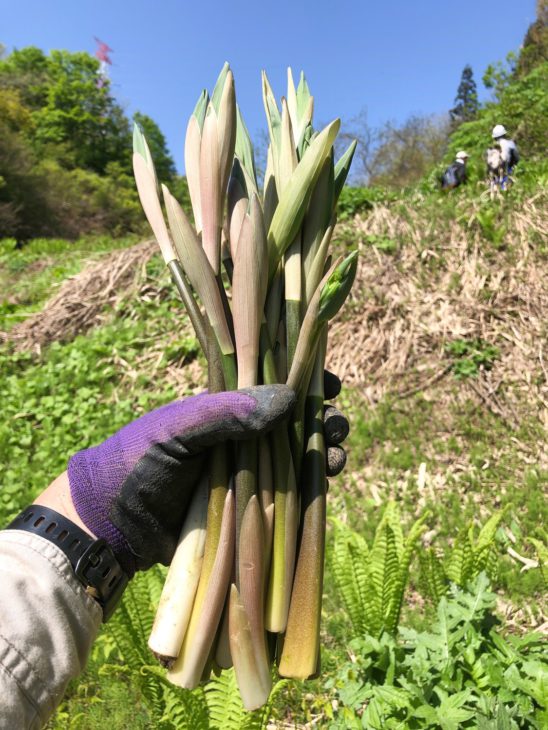 アマドコロ｜上越・糸魚川・妙高の家づくり｜木の家をつくる工務店｜新築・リフォーム｜自然素材の注文住宅｜キノイエ｜カネタ建設｜高気密高断熱｜パッシブデザイン｜新潟の家｜