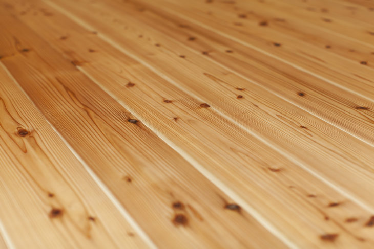 ｜オンライン完成見学会｜ウェブ完成見学会｜上越・糸魚川・妙高の家づくり｜木の家をつくる工務店｜新築・リフォーム｜自然素材の注文住宅｜キノイエ｜カネタ建設｜高気密高断熱｜パッシブデザイン｜