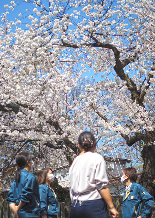 ｜キノイエ｜地鎮祭｜陀羅尼町の家｜上越｜木の家｜新築・リフォーム｜注文住宅｜キノイエ｜カネタ建設｜高気密高断熱｜パッシブデザイン｜