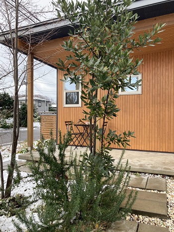 頸城の家|注文住宅|高気密高断熱|上越市|糸魚川市|妙高市|木の家